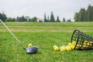 $32.00 for One Round of 18 Holes of Golf, a Basket of Range Balls and a Pull Cart at Pitt Meadows Golf Club (Value $64) 