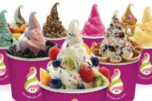 Free Deal! Buy One Frozen Yogurt & Toppings and Receive the 2nd One at 50% off at Menchie's Frozen Yogurt in Maple Ridge